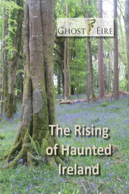 anthony kerrigan - Rising of Haunted Ireland, E-bok