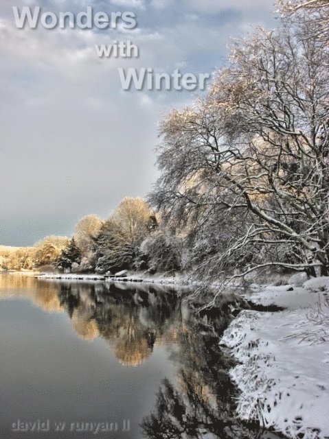 Wonders with Winter