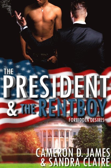 Sandra Claire, Cameron D. James - President And The Rentboy, E-bok