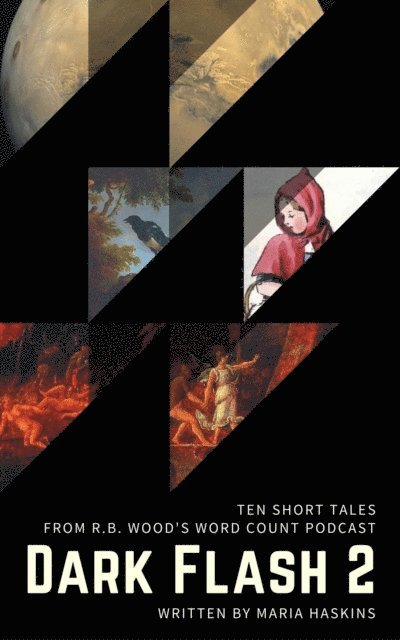 Maria Haskins - Dark Flash 2, E-bok