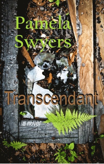 Pamela Swyers - Transcendant, E-bok