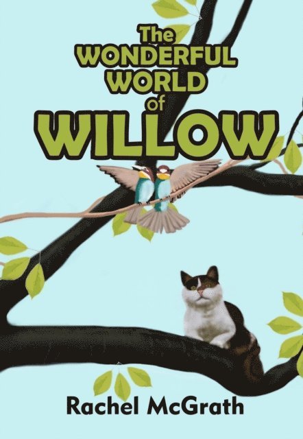 Rachel McGrath - Wonderful World of Willow, E-bok. Tillgänglighet: Lägg i varukorg