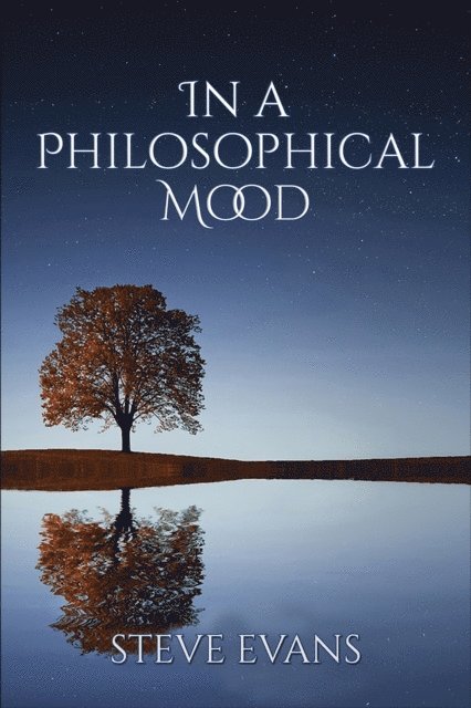 Steve Evans - In a Philosophical Mood, E-bok