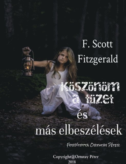 Scott Fitzgerald - Köszönöm a tüzet és más elbeszélések, E-bok