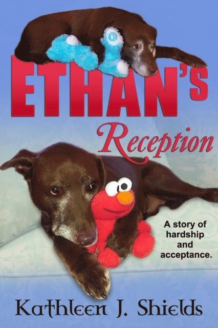 Kathleen J. Shields - Ethan's Reception, a Story of Hardship and Acceptance, E-bok