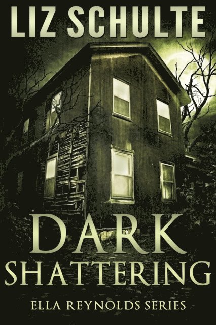 Liz Schulte - Dark Shattering, E-bok