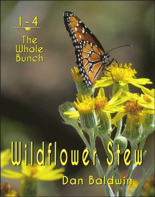 Dan Baldwin - Wildflower Stew: The Whole Bunch, E-bok. Tillgänglighet: Lägg i varukorg