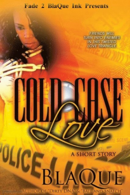 BlaQue Angel - Cold Case Love, E-bok