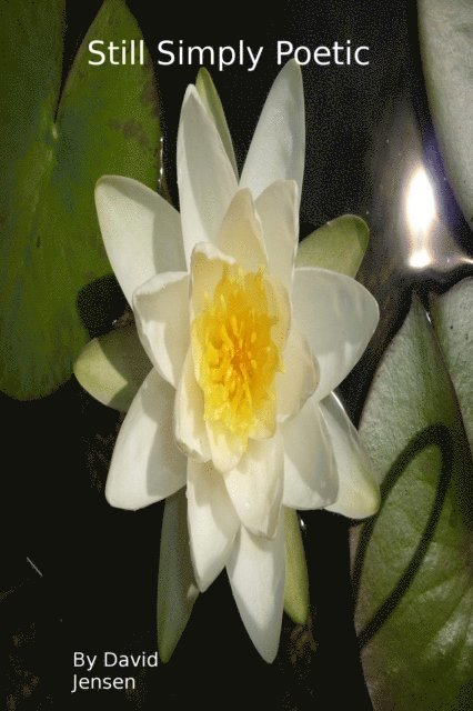 David Jensen - Still Simply Poetic, E-bok