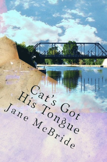 Jane McBride - Cat's Got His Tongue, E-bok
