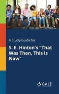 A Study Guide for S. E. Hinton's &quot;That Was Then, This Is Now&quot;