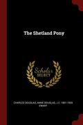 Shetland Pony