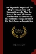 The Negroes in Negroland; the Negroes in America; and Negroes Generally. Also, the Several Races of White men, Considered as the Involuntary and Predestined Supplanters of the Black Races. A
