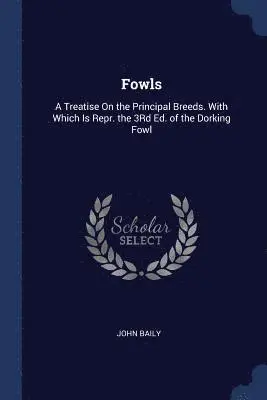 John Baily - Fowls, Häftad. Tillgänglighet: Lägg i varukorg