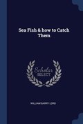 Sea Fish & how to Catch Them