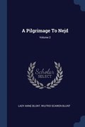 A Pilgrimage To Nejd; Volume 2