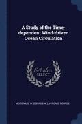 A Study of the Time-dependent Wind-driven Ocean Circulation