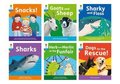 Oxford Reading Tree: Floppy's Phonics Decoding Practice: Oxford Level 3: Mixed Pack of 6