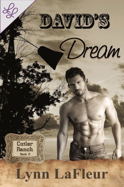 Lynn LaFleur - David's Dream, E-bok