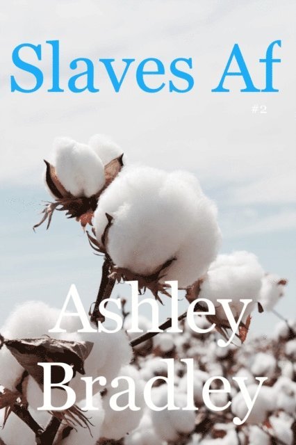 Ashley Bradley - Slaves Af #2, E-bok