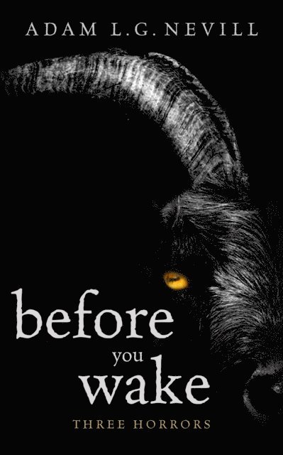 Adam Nevill - Before You Wake: Three Horrors, E-bok