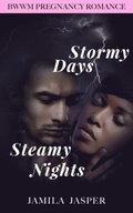 Stormy Days, Steamy Nights: BWWM Romance Novel