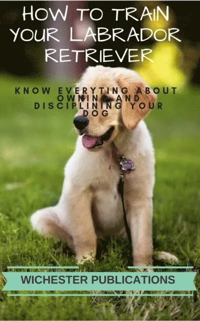 Ram Das - How to Train Your Labrador Retriever: Know Everyting About Owning and Disciplining your Dog, E-bok. Tillgänglighet: Lägg i varukorg