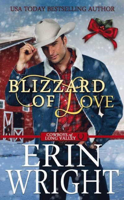 Erin Wright - Blizzard of Love: A Christmas Holiday Western Romance, E-bok