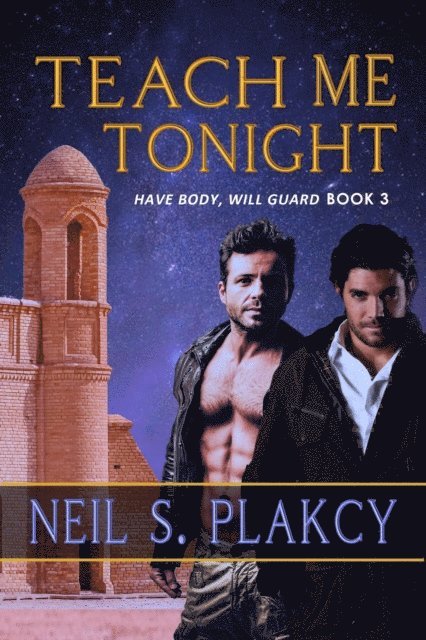 Neil S. Plakcy - Teach Me Tonight, E-bok