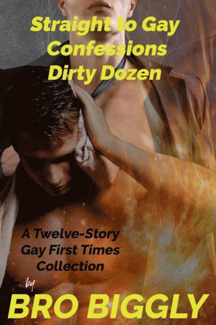 Bro Biggly - Straight to Gay Confessions Dirty Dozen: A Twelve-Story Gay First Times Collection, E-bok