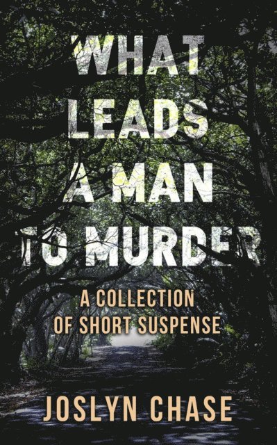 Joslyn Chase - What Leads a Man to Murder, E-bok