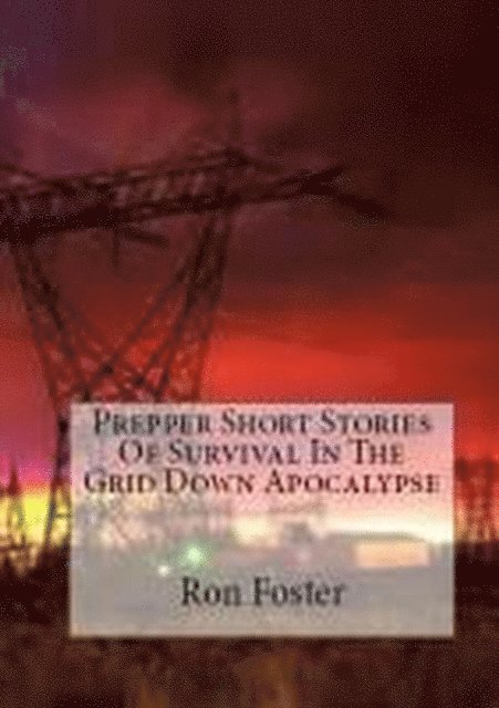 Ron Foster - Prepper Short Stories Of Survival In The Grid Down Apocalypse, E-bok