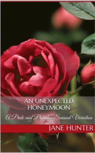 Jane Hunter - Unexpected Honeymoon: A Pride and Prejudice Sensual Intimate, E-bok