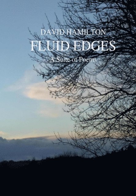 David Hamilton - Fluid Edges, E-bok