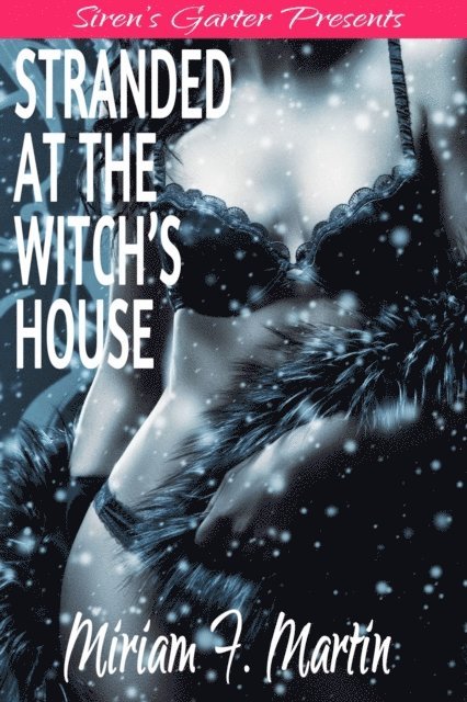 Miriam F. Martin - Stranded at the Witch's House, E-bok