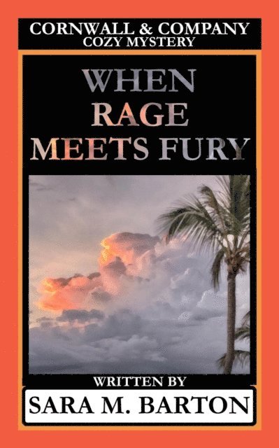 Sara M. Barton - When Rage Meets Fury, E-bok. Tillgänglighet: Lägg i varukorg