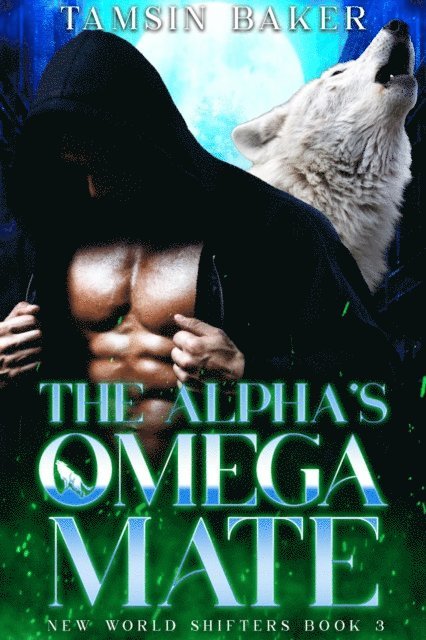 Tamsin Baker - Alpha's Omega Mate, E-bok