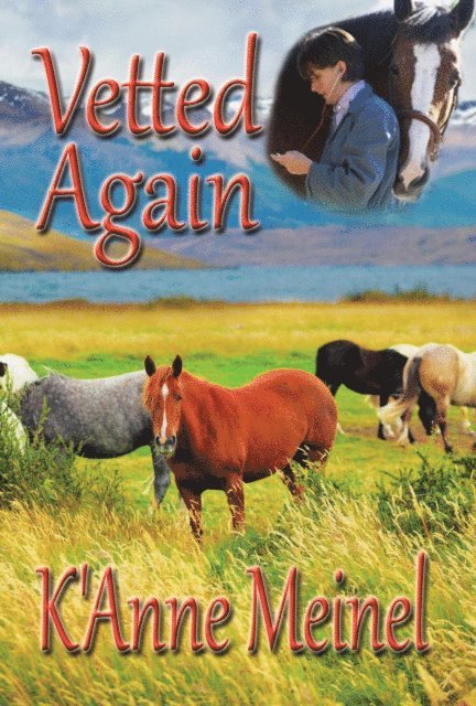 K'Anne Meinel - Vetted Again, E-bok