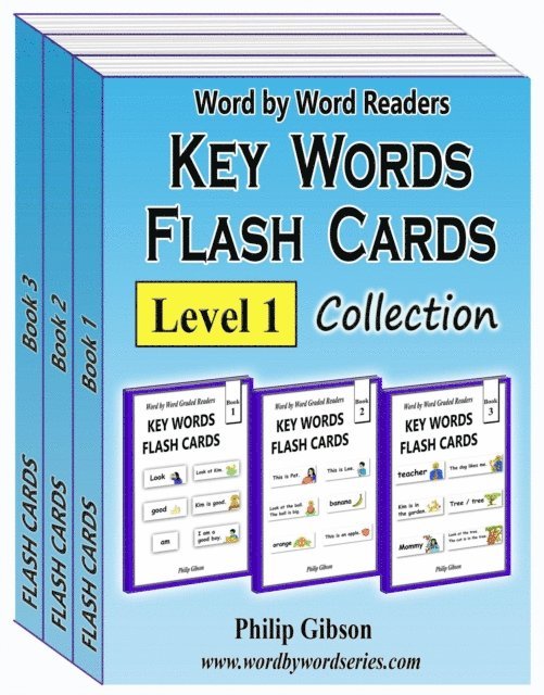 Philip Gibson - Key Words Flash Cards, E-bok