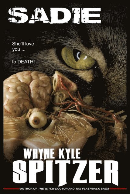 Wayne Kyle Spitzer - Sadie, E-bok