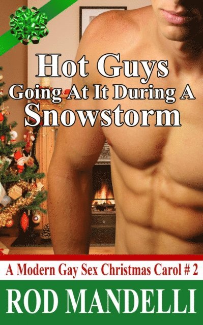Rod Mandelli - Hot Guys Going at it During a Snowstorm, E-bok