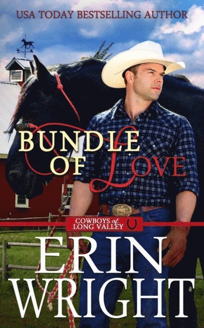 Erin Wright - Bundle of Love: An Office Contemporary Western Romance, E-bok