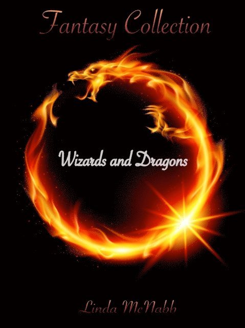 Linda McNabb - Wizards and Dragons, E-bok