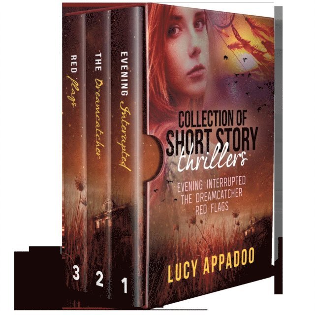 Lucy Appadoo - Collection of Short Story Thrillers Evening Interrupted The Dreamcatcher Red Flags, E-bok