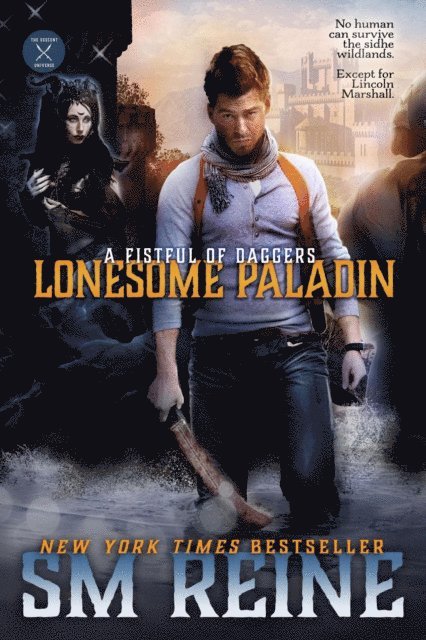 SM Reine - Lonesome Paladin, E-bok