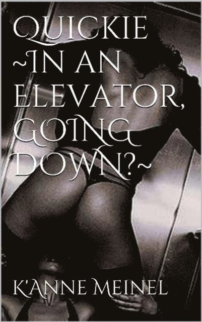 K'Anne Meinel - Quickie in an Elevator.  Going down?, E-bok