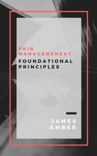 James Amber - Pain Management: Foundational Principles, E-bok. Tillgänglighet: Lägg i varukorg