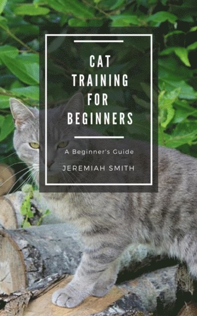 Jeremiah Smith - Cat Training For Beginners, E-bok