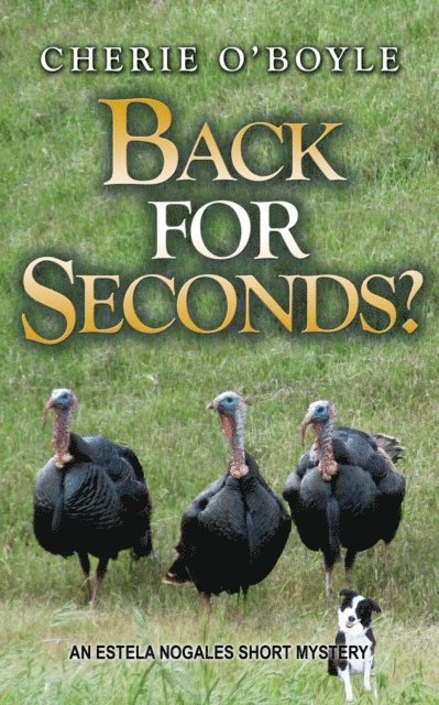 Cherie O'Boyle - Back for Seconds?, E-bok