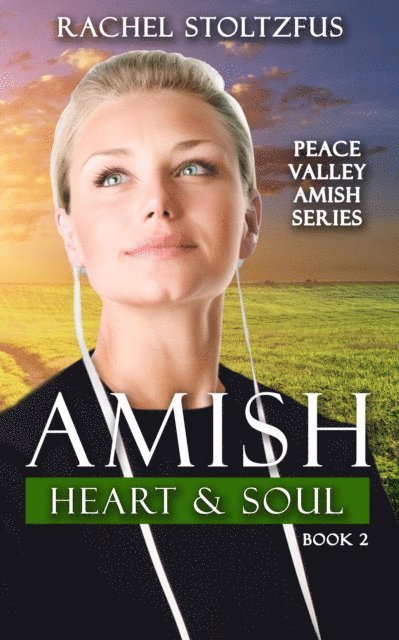 Rachel Stoltzfus - Amish Heart and Soul, E-bok